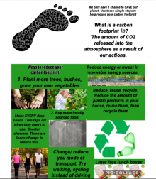 Carbon footprint project