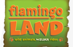 flamingo land