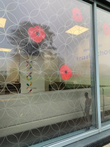 poppies at school