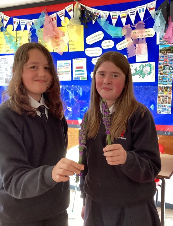 Languages Club Lavender Wands