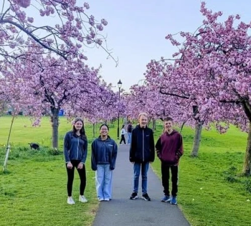 Blossom WEBSITE